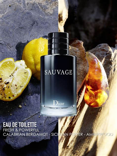 sauvage dior ingredients|dior sauvage composition.